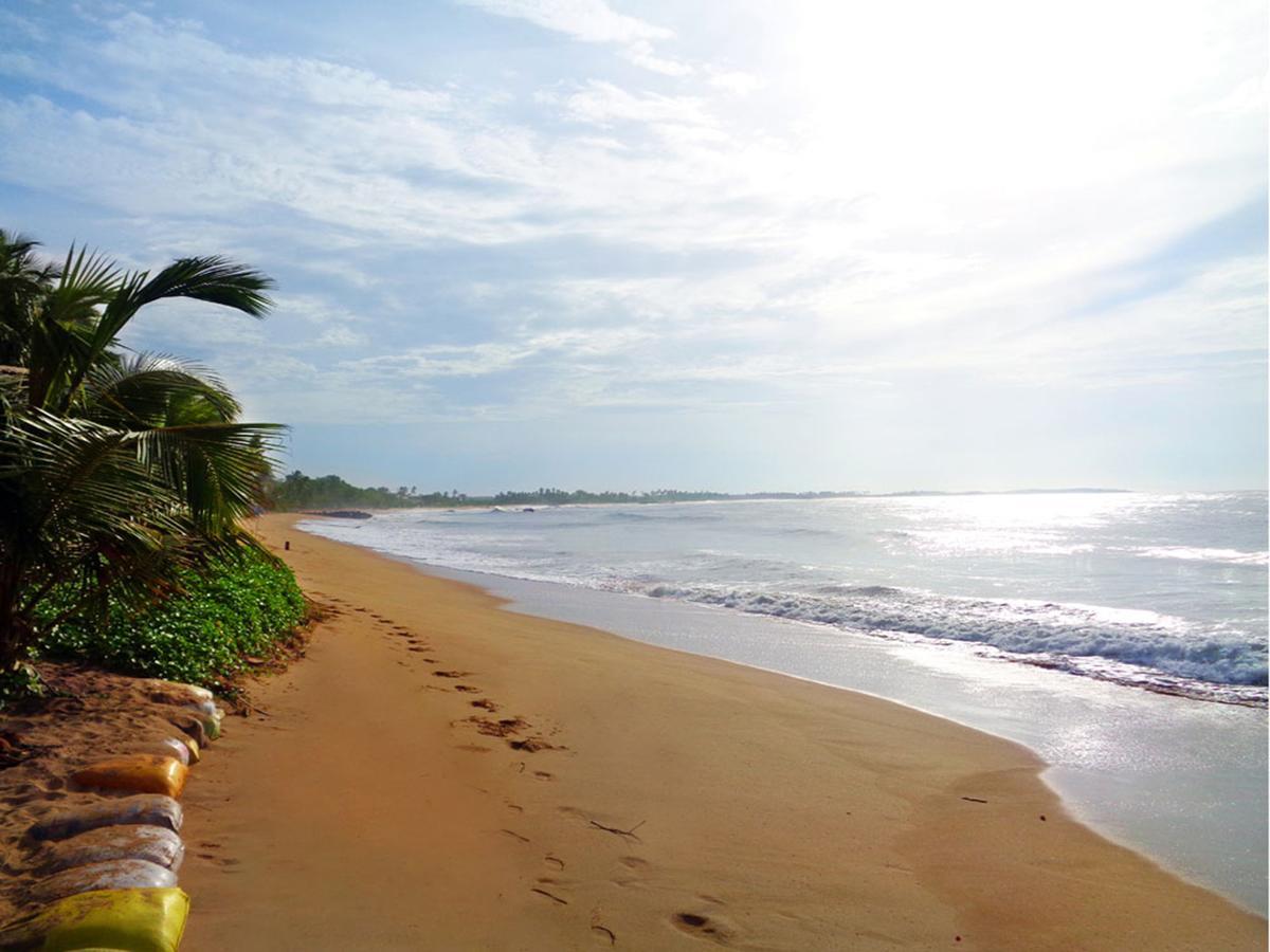 Reggae Zone Beach Resort Tangalle Exterior photo